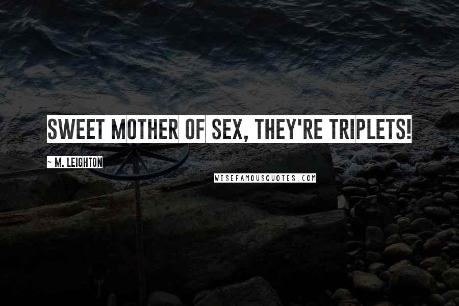 M. Leighton Quotes: Sweet mother of sex, they're triplets!