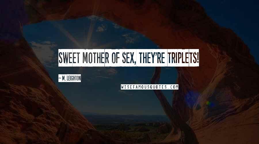 M. Leighton Quotes: Sweet mother of sex, they're triplets!