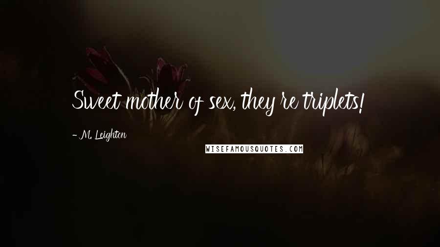 M. Leighton Quotes: Sweet mother of sex, they're triplets!