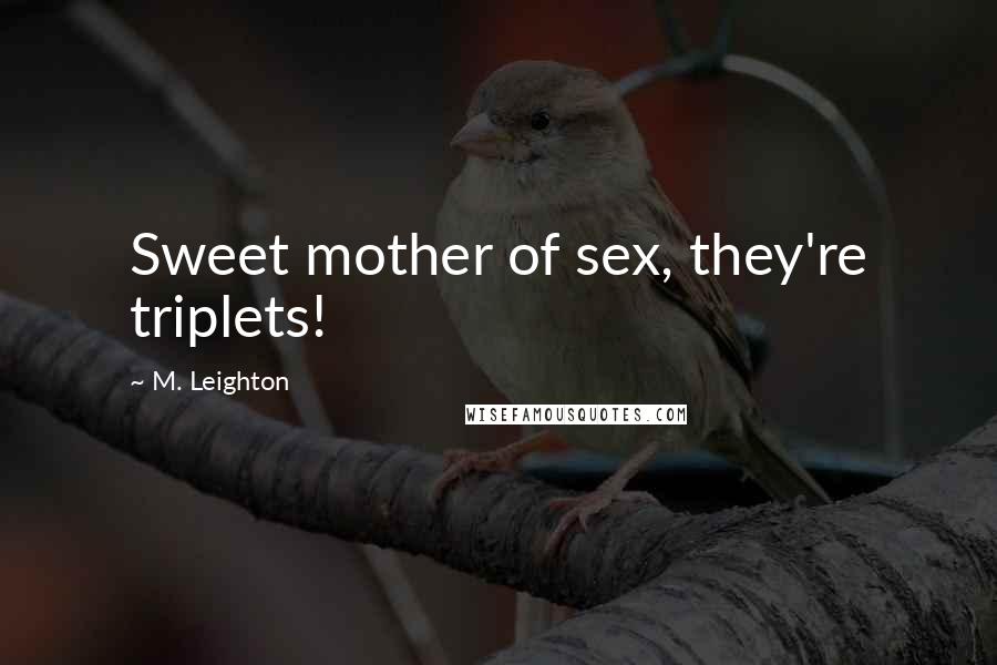 M. Leighton Quotes: Sweet mother of sex, they're triplets!