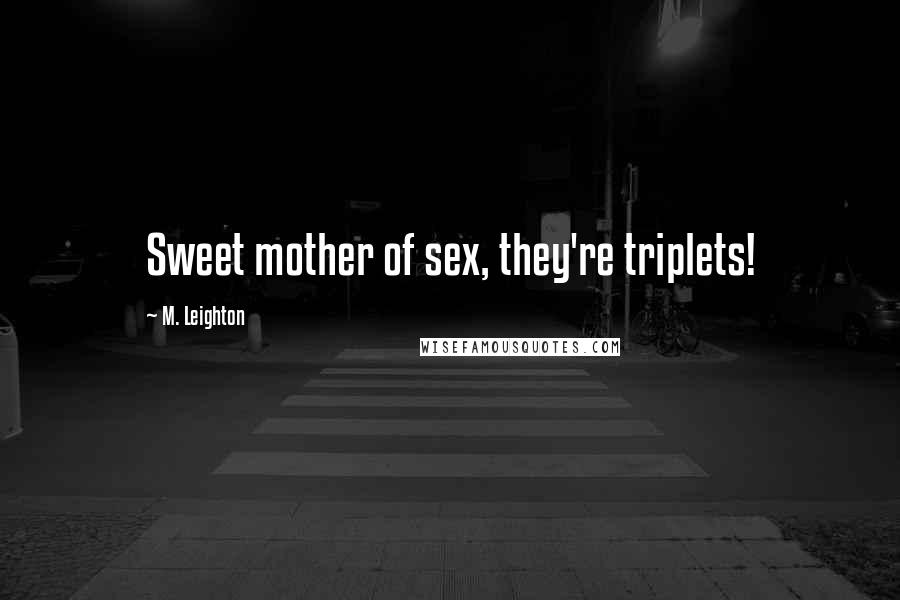 M. Leighton Quotes: Sweet mother of sex, they're triplets!