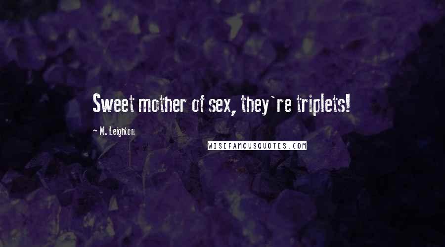 M. Leighton Quotes: Sweet mother of sex, they're triplets!