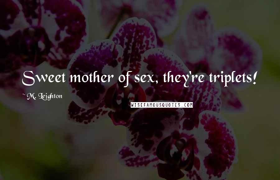 M. Leighton Quotes: Sweet mother of sex, they're triplets!