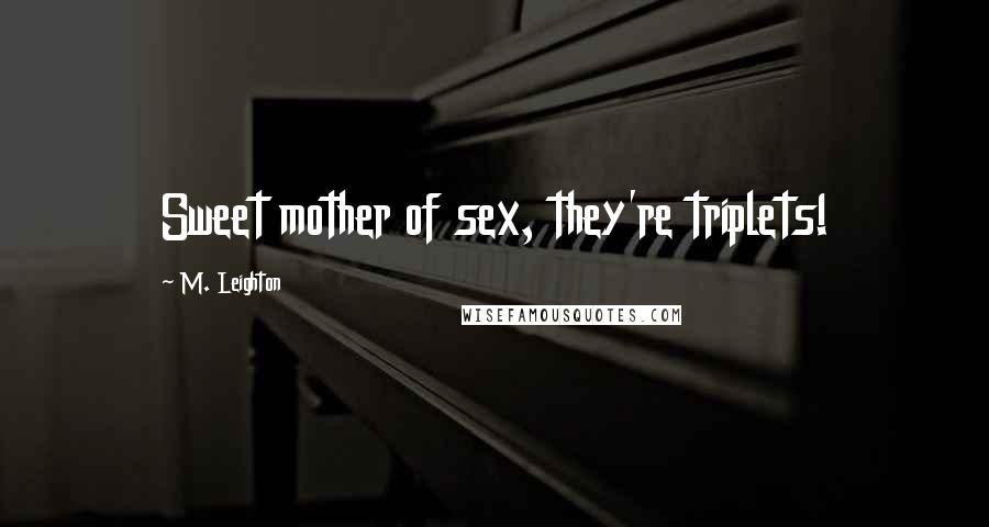 M. Leighton Quotes: Sweet mother of sex, they're triplets!