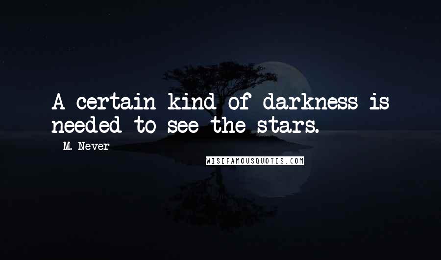 M. Never Quotes: A certain kind of darkness is needed to see the stars.