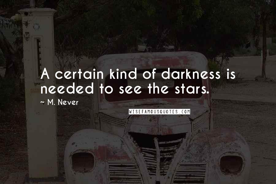 M. Never Quotes: A certain kind of darkness is needed to see the stars.