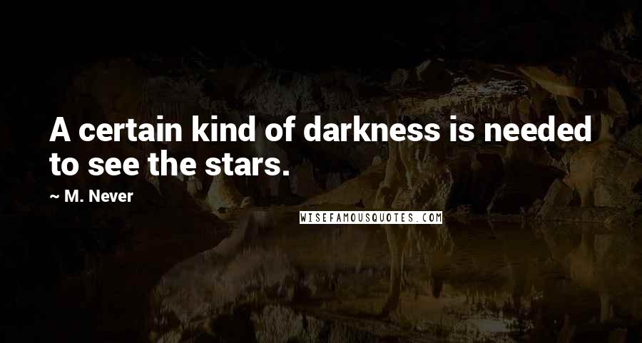 M. Never Quotes: A certain kind of darkness is needed to see the stars.