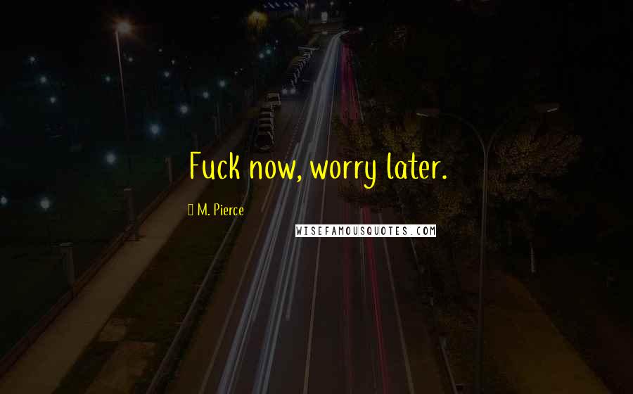M. Pierce Quotes: Fuck now, worry later.