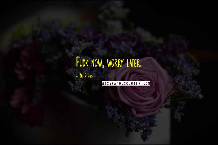 M. Pierce Quotes: Fuck now, worry later.