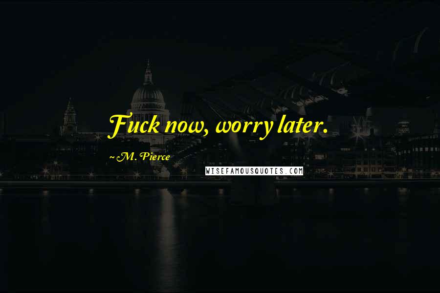 M. Pierce Quotes: Fuck now, worry later.