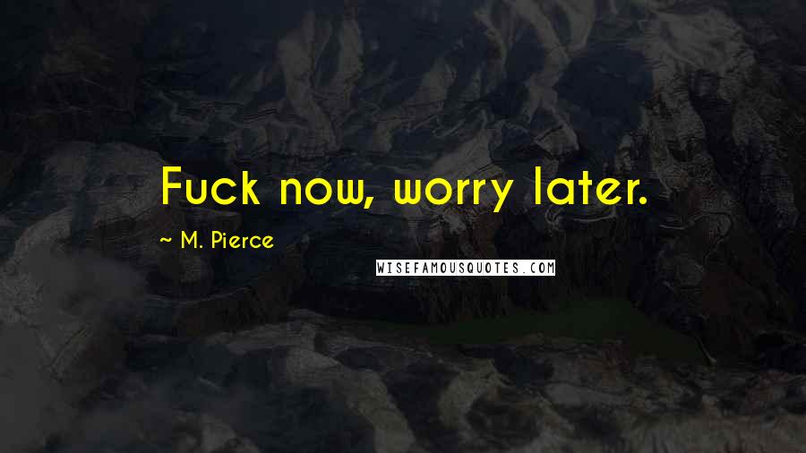 M. Pierce Quotes: Fuck now, worry later.