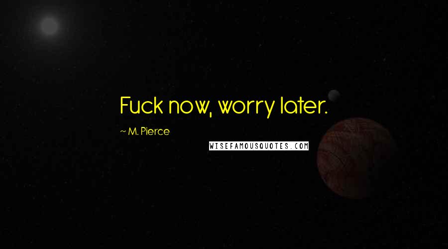 M. Pierce Quotes: Fuck now, worry later.