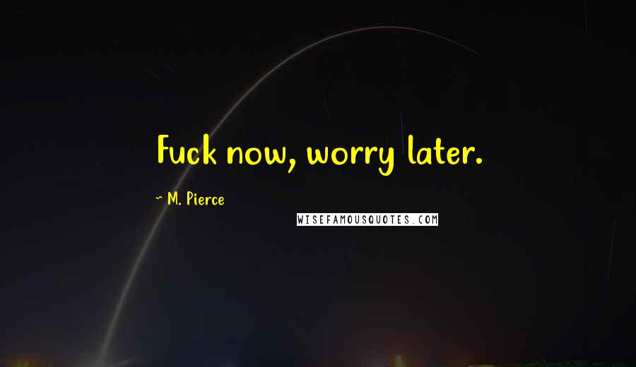 M. Pierce Quotes: Fuck now, worry later.