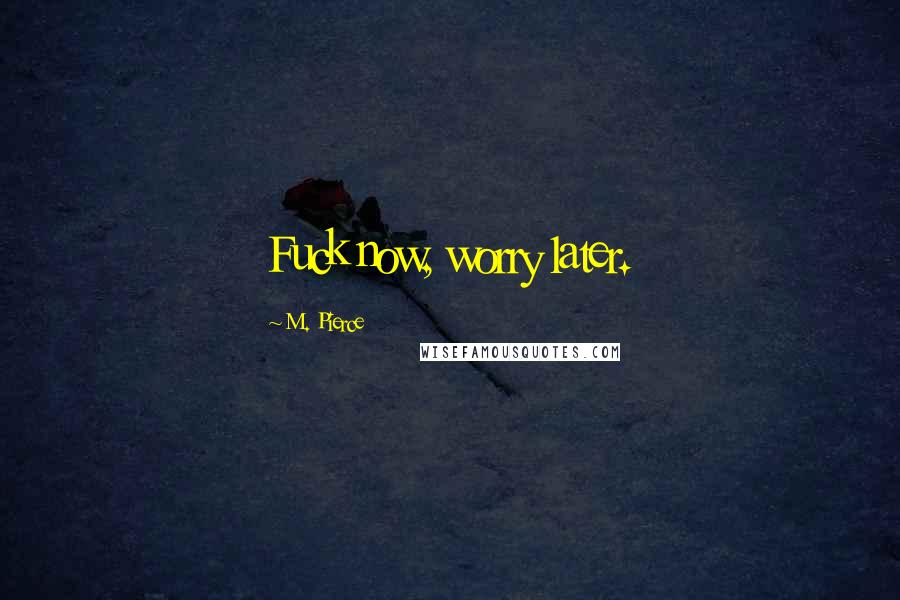 M. Pierce Quotes: Fuck now, worry later.