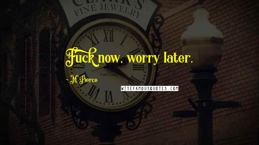 M. Pierce Quotes: Fuck now, worry later.