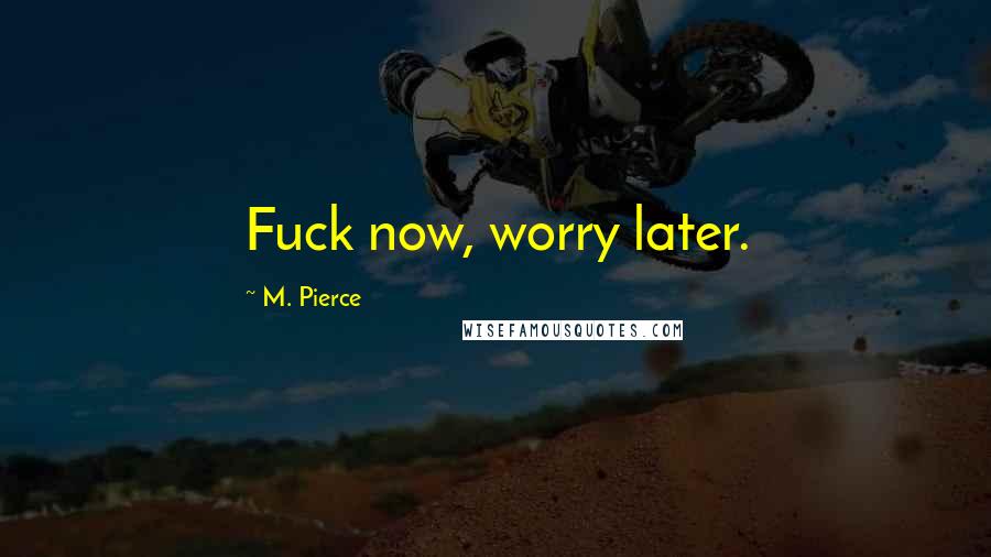 M. Pierce Quotes: Fuck now, worry later.