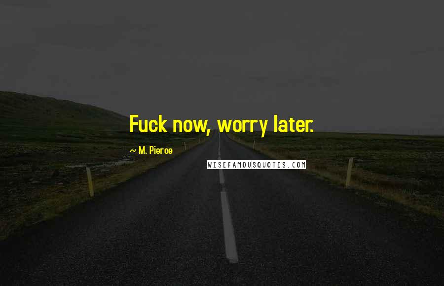 M. Pierce Quotes: Fuck now, worry later.