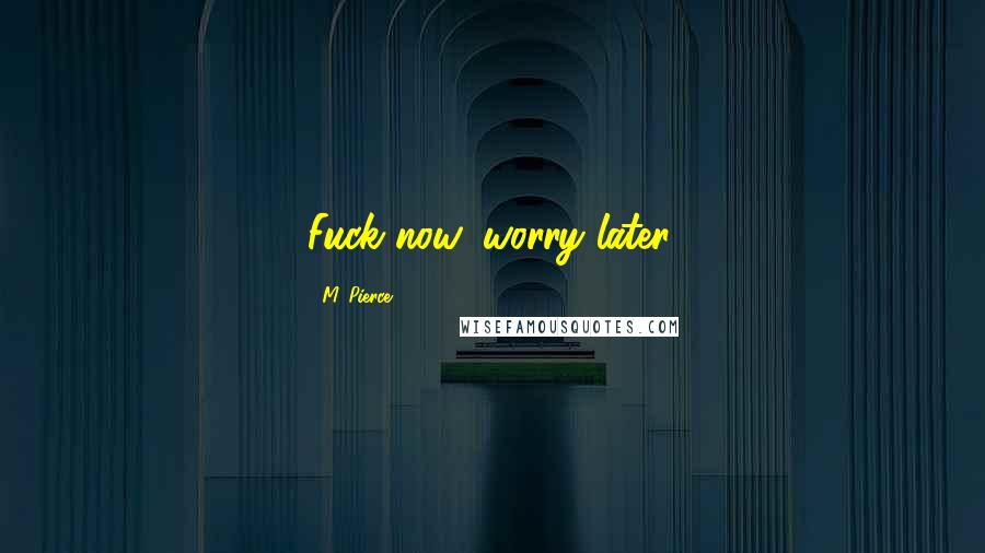 M. Pierce Quotes: Fuck now, worry later.