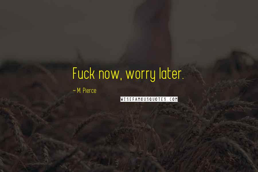M. Pierce Quotes: Fuck now, worry later.