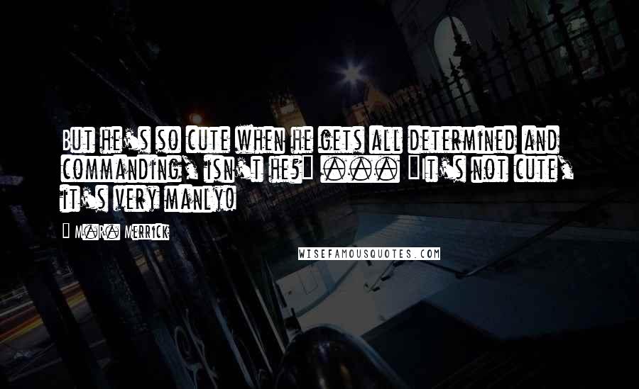 M.R. Merrick Quotes: But he's so cute when he gets all determined and commanding, isn't he?" ... "It's not cute, it's very manly!