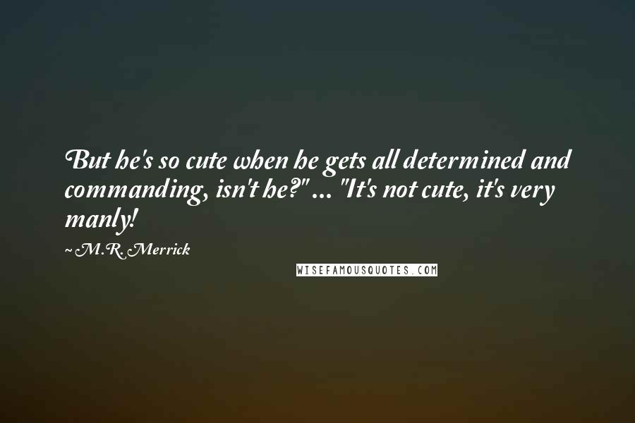 M.R. Merrick Quotes: But he's so cute when he gets all determined and commanding, isn't he?" ... "It's not cute, it's very manly!