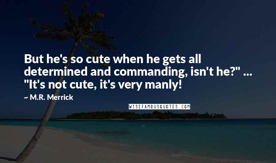 M.R. Merrick Quotes: But he's so cute when he gets all determined and commanding, isn't he?" ... "It's not cute, it's very manly!