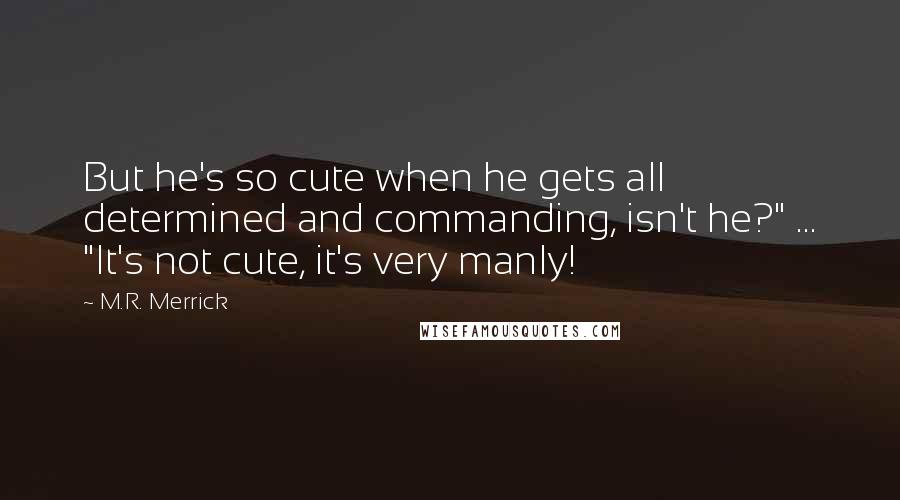 M.R. Merrick Quotes: But he's so cute when he gets all determined and commanding, isn't he?" ... "It's not cute, it's very manly!