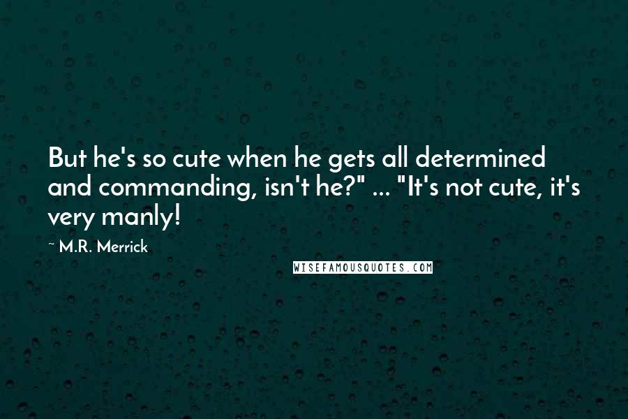 M.R. Merrick Quotes: But he's so cute when he gets all determined and commanding, isn't he?" ... "It's not cute, it's very manly!