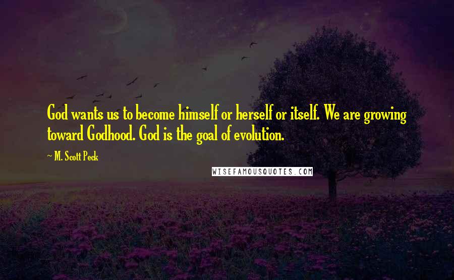 M. Scott Peck Quotes: God wants us to become himself or herself or itself. We are growing toward Godhood. God is the goal of evolution.