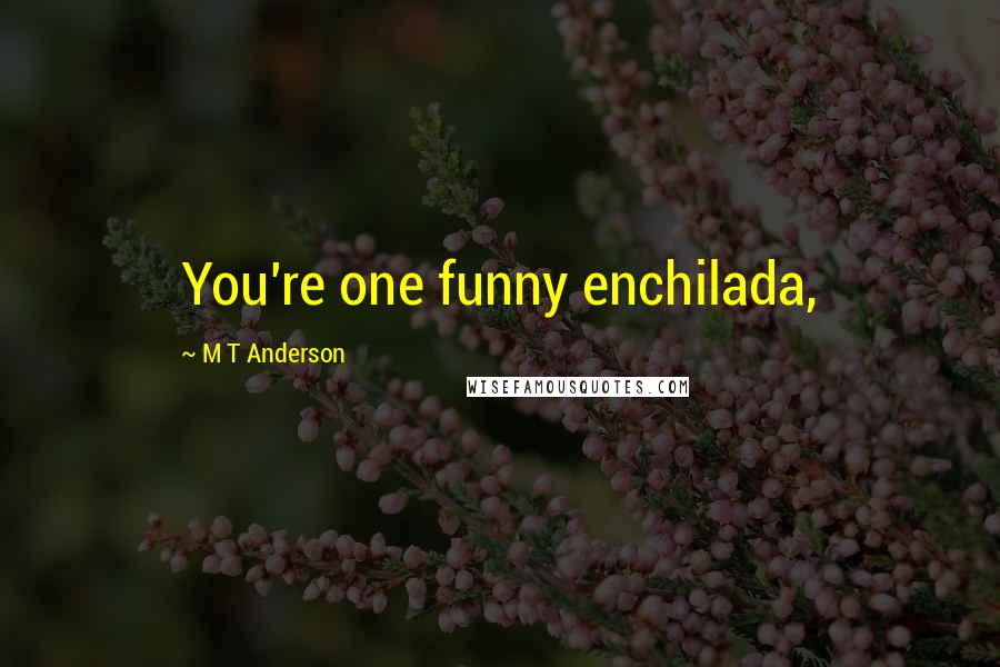 M T Anderson Quotes: You're one funny enchilada,