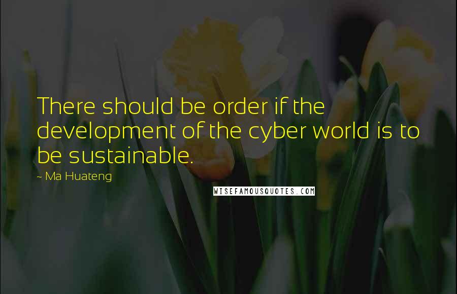 Ma Huateng Quotes: There should be order if the development of the cyber world is to be sustainable.