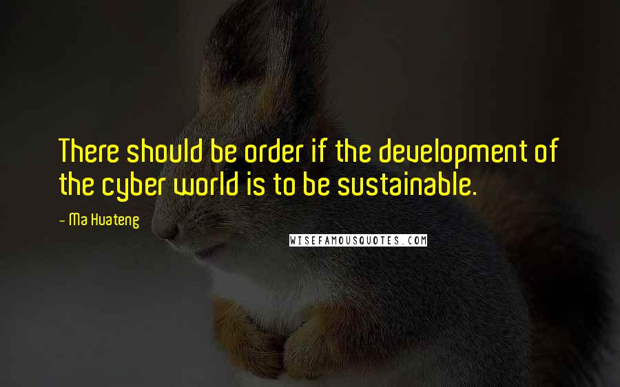 Ma Huateng Quotes: There should be order if the development of the cyber world is to be sustainable.