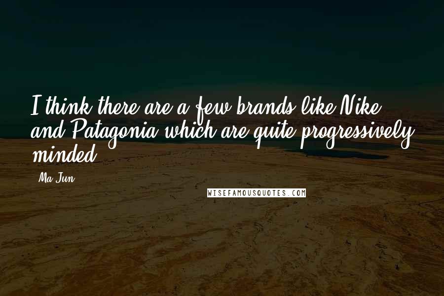 Ma Jun Quotes: I think there are a few brands like Nike and Patagonia which are quite progressively minded.