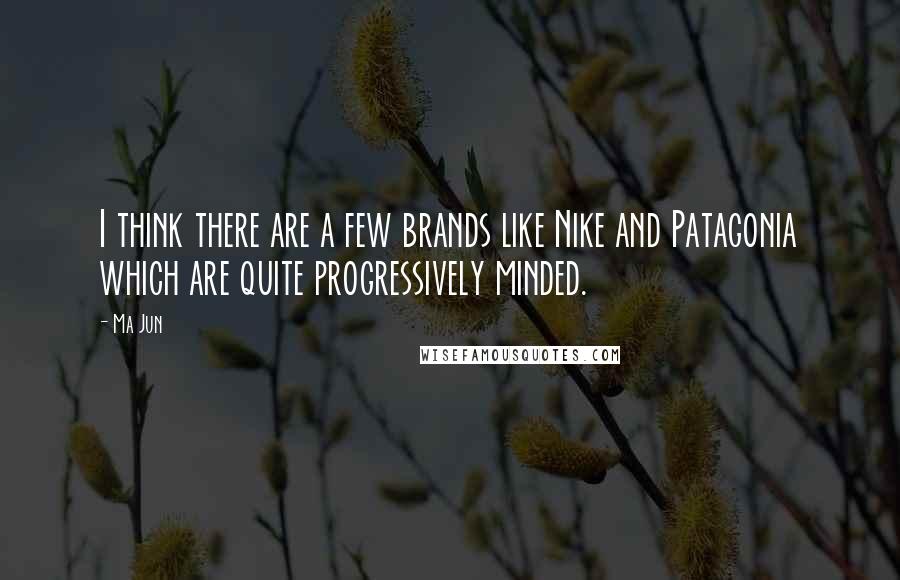 Ma Jun Quotes: I think there are a few brands like Nike and Patagonia which are quite progressively minded.