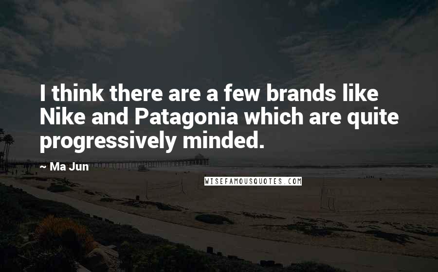 Ma Jun Quotes: I think there are a few brands like Nike and Patagonia which are quite progressively minded.