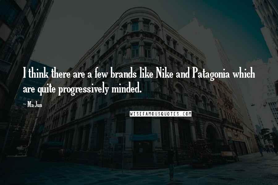 Ma Jun Quotes: I think there are a few brands like Nike and Patagonia which are quite progressively minded.
