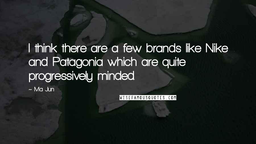 Ma Jun Quotes: I think there are a few brands like Nike and Patagonia which are quite progressively minded.