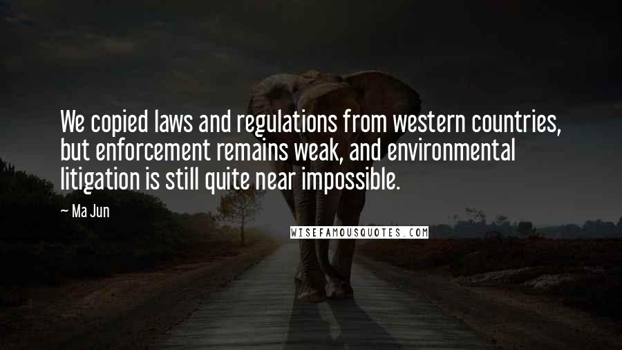 Ma Jun Quotes: We copied laws and regulations from western countries, but enforcement remains weak, and environmental litigation is still quite near impossible.