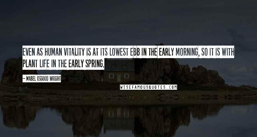Mabel Osgood Wright Quotes: Even as human vitality is at its lowest ebb in the early morning, so it is with plant life in the early spring.