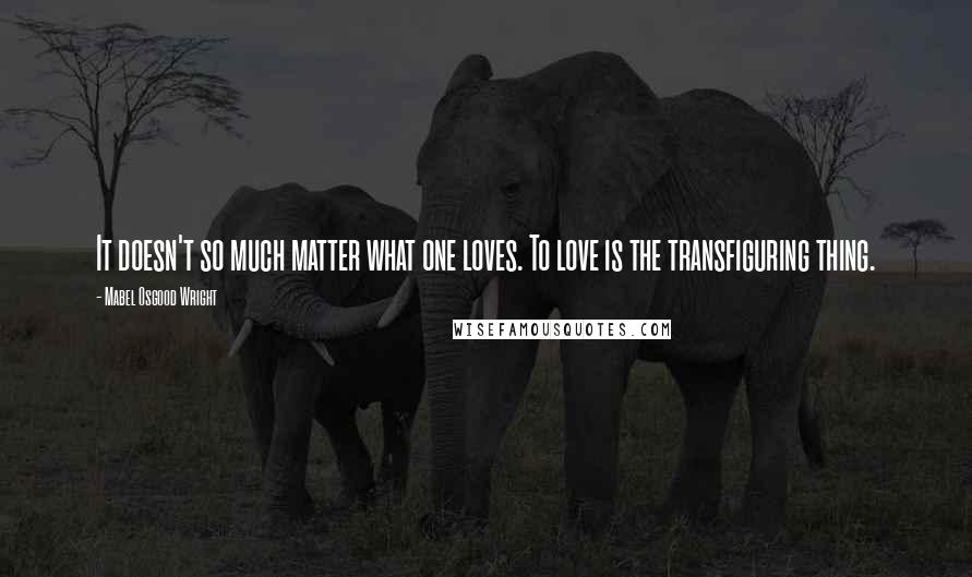Mabel Osgood Wright Quotes: It doesn't so much matter what one loves. To love is the transfiguring thing.