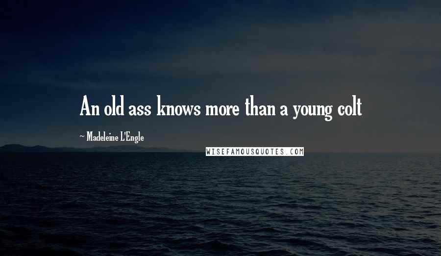 Madeleine L'Engle Quotes: An old ass knows more than a young colt