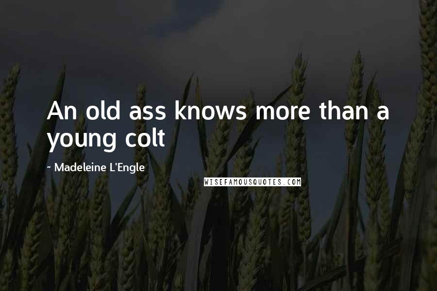 Madeleine L'Engle Quotes: An old ass knows more than a young colt
