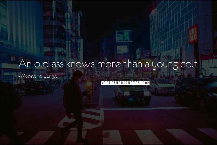Madeleine L'Engle Quotes: An old ass knows more than a young colt