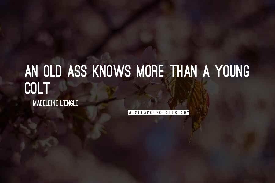 Madeleine L'Engle Quotes: An old ass knows more than a young colt