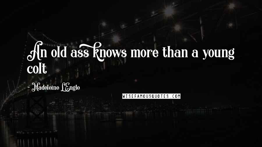 Madeleine L'Engle Quotes: An old ass knows more than a young colt
