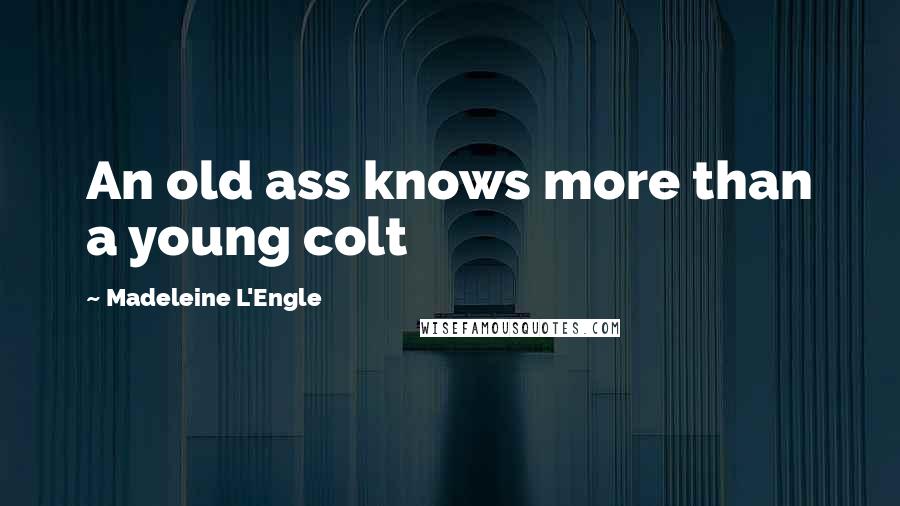 Madeleine L'Engle Quotes: An old ass knows more than a young colt