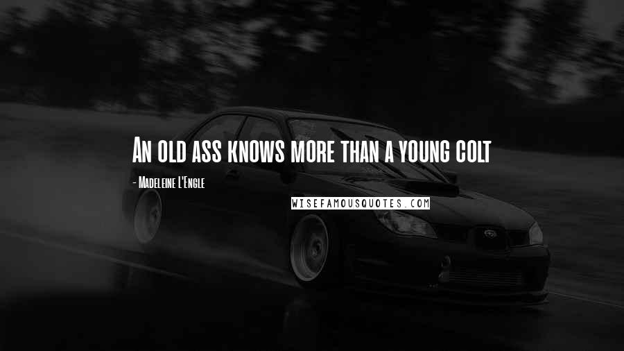 Madeleine L'Engle Quotes: An old ass knows more than a young colt