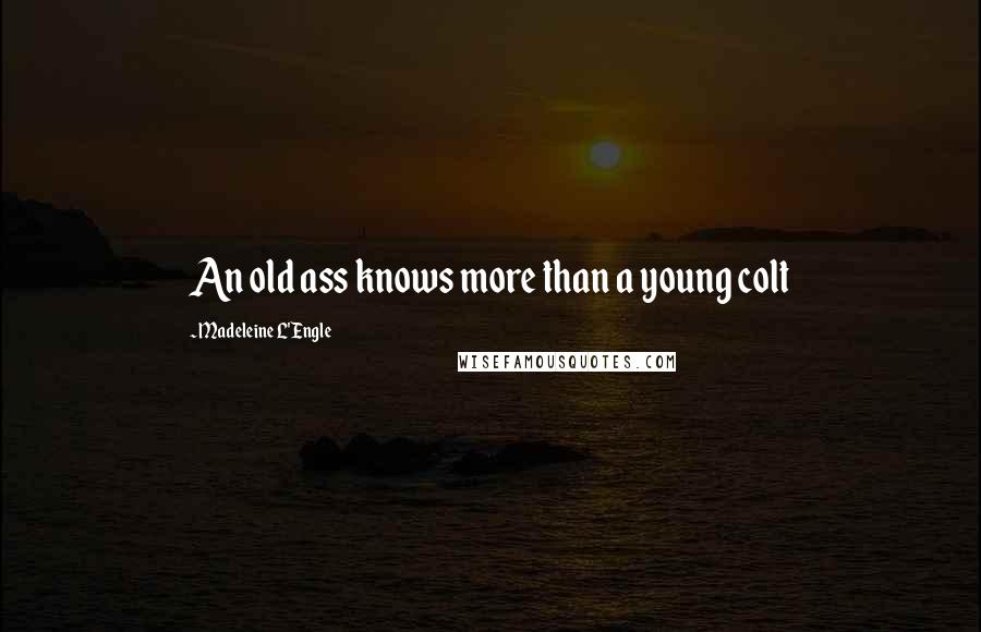 Madeleine L'Engle Quotes: An old ass knows more than a young colt