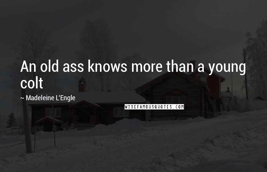 Madeleine L'Engle Quotes: An old ass knows more than a young colt