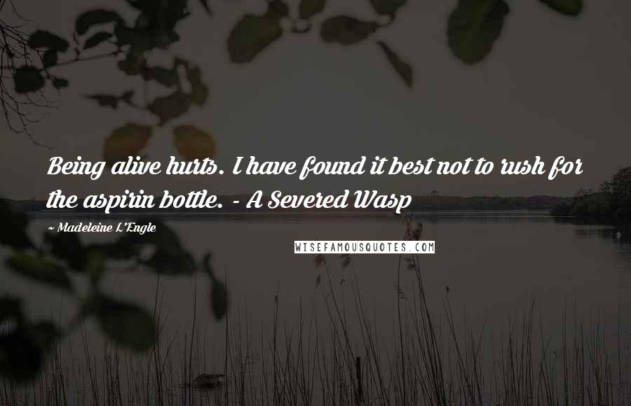 Madeleine L'Engle Quotes: Being alive hurts. I have found it best not to rush for the aspirin bottle. - A Severed Wasp
